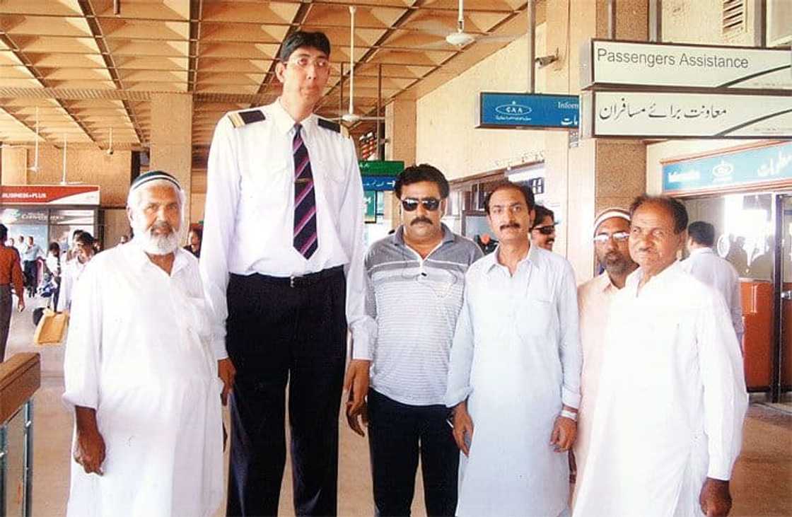 List of the tallest man in the world List of the tallest man in the world