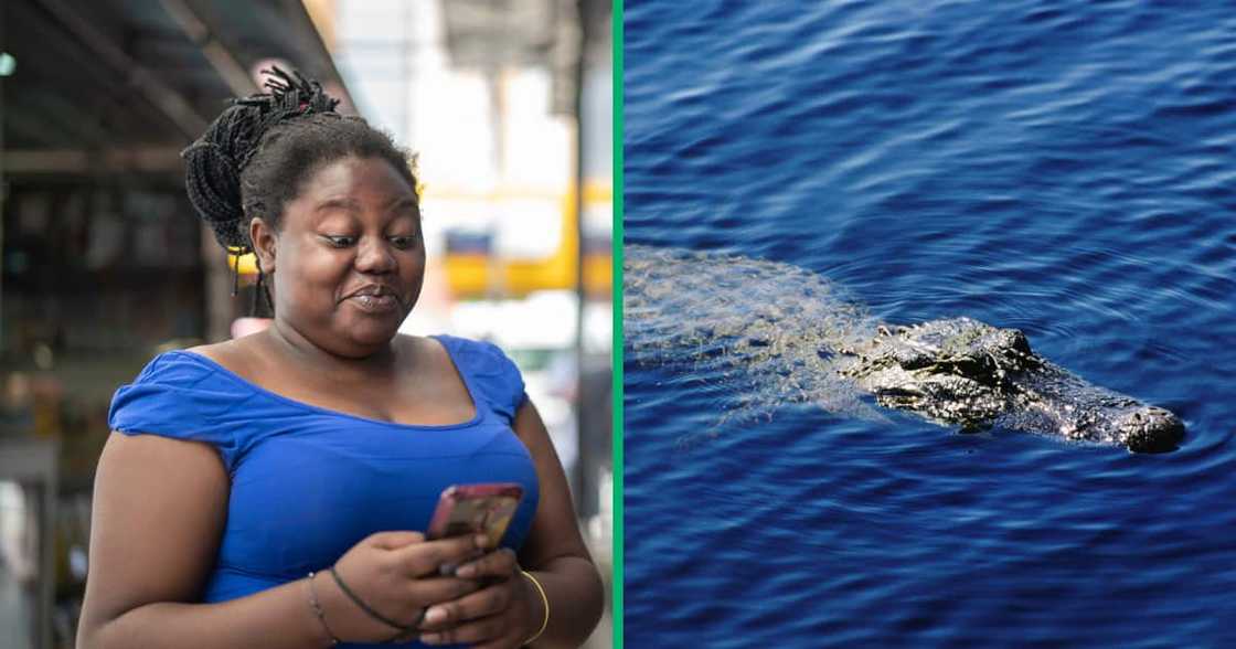 Viral, TikTok video, South Africa, crocodile, Richards Bay Viral, TikTok video, South Africa, crocodile, Richards Bay