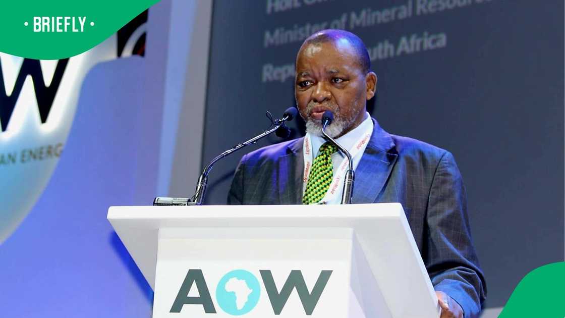 GNU aims to improve SA's cost of living, says Minister Gwede Mantashe GNU aims to improve SA's cost of living, says Minister Gwede Mantashe