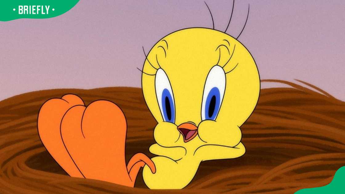 Big-headed cartoon character Tweety Bird Big-headed cartoon character Tweety Bird