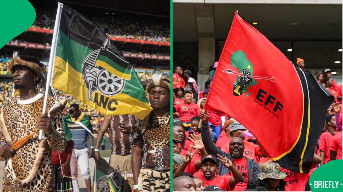 The ANC could ask the EFF to vote with it for a lesser VAT increase