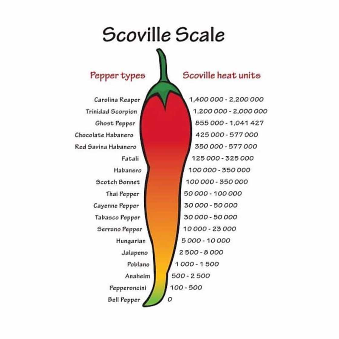 Chilli scale