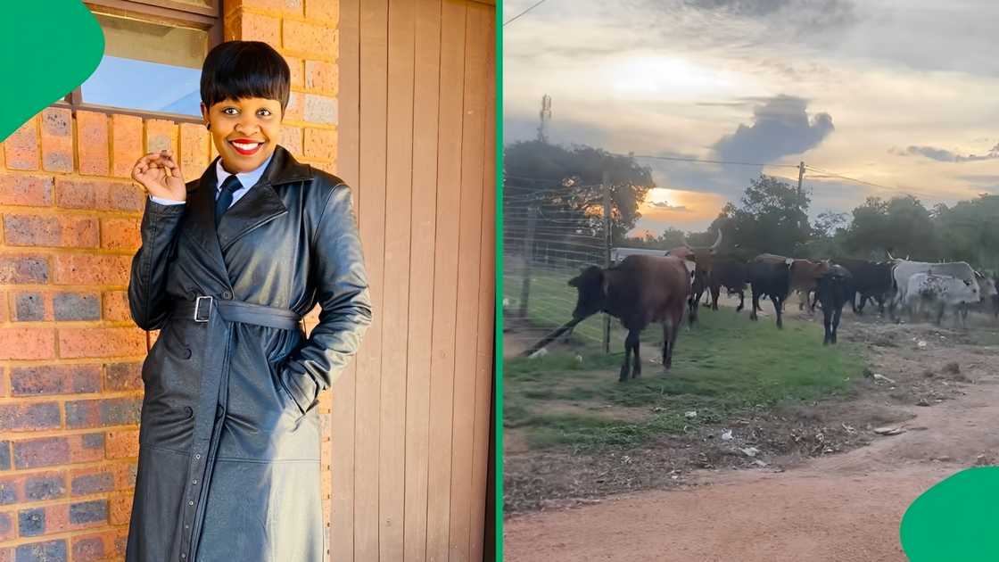 A woman celebrated her man paying lobola A woman celebrated her man paying lobola