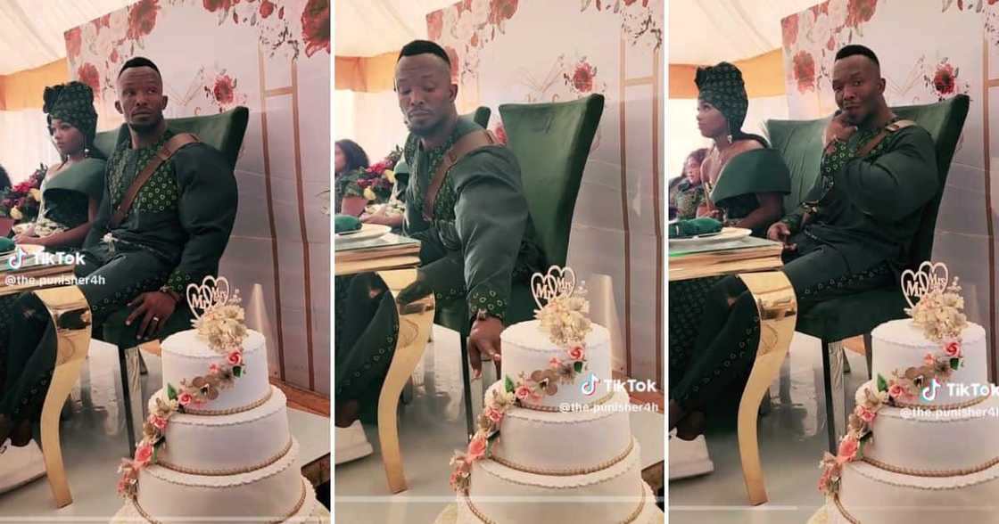 buff groom tasting cake buff groom tasting cake