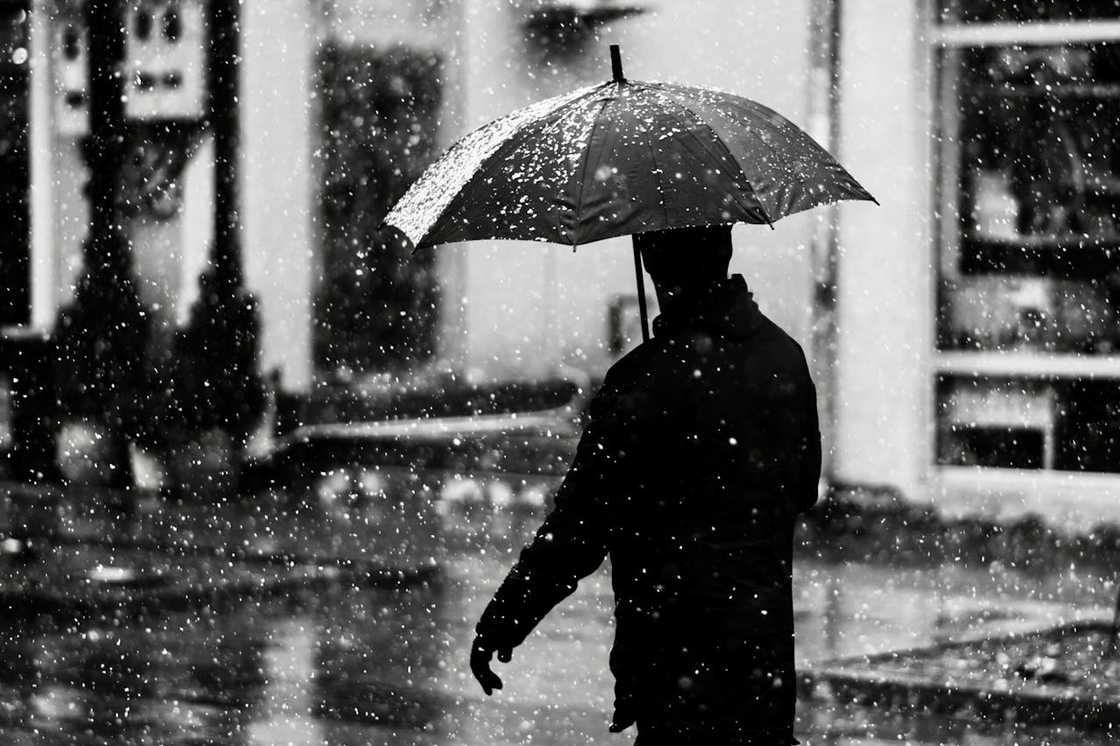 A person walking under an umbrella during heavy rain. A person walking under an umbrella during heavy rain.