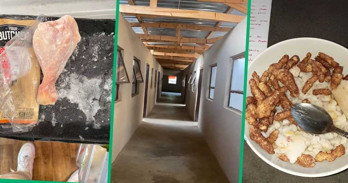 Briefly News looked at two broke university people who touched Mzansi and one KZN bad student accomodation that had netizens concerned. Briefly News looked at two broke university people who touched Mzansi and one KZN bad student accomodation that had netizens concerned.