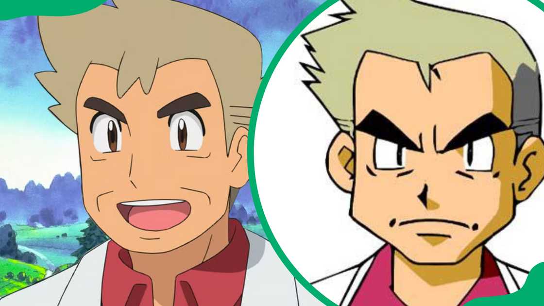 Professor Oak from Pokémon