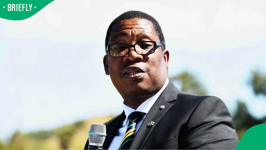 Panyaza Lesufi survived a Motion of No Confidence
