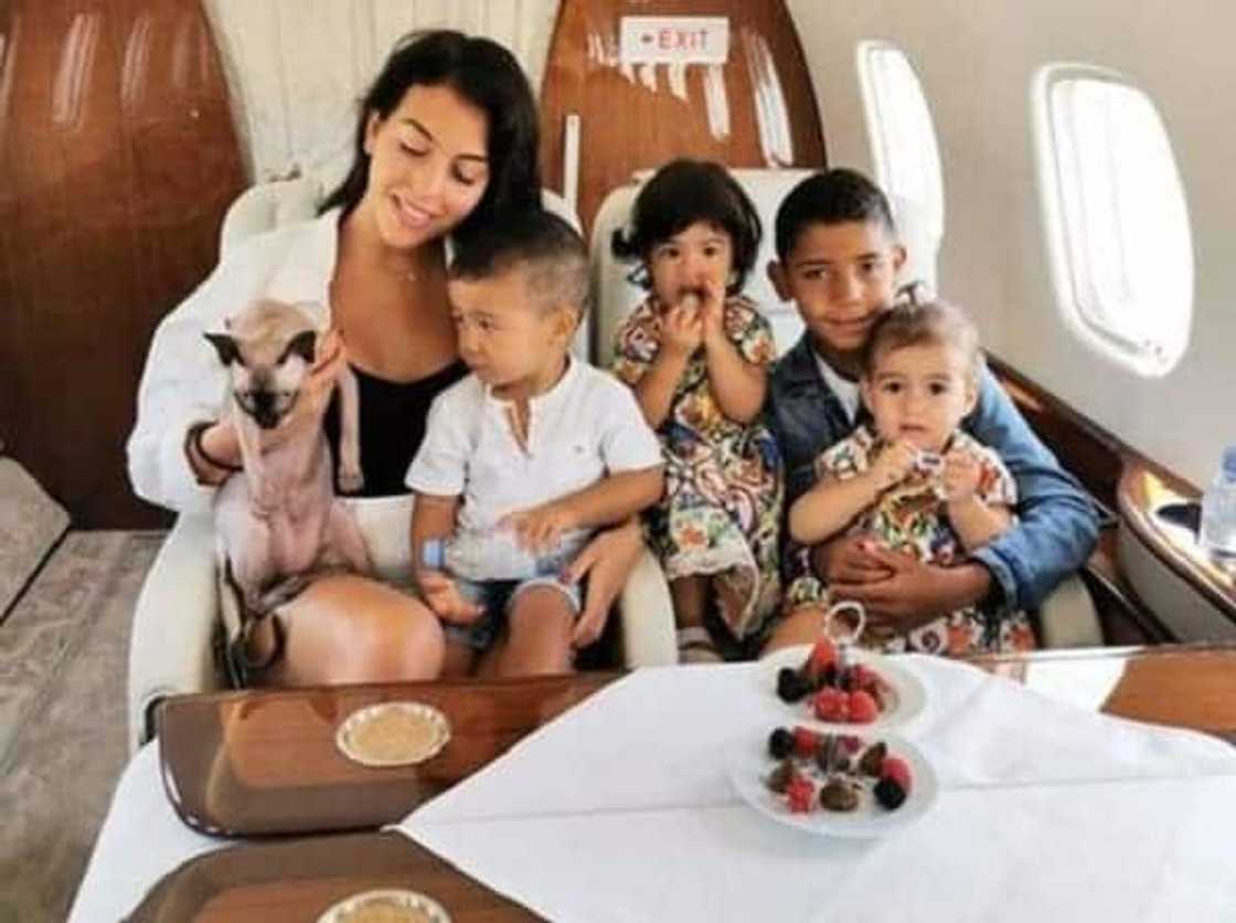 Cristiano Ronaldo’s £2,600 scary Sphynx cat escapes death after car hit ‘Pepe’ Cristiano Ronaldo’s £2,600 scary Sphynx cat escapes death after car hit ‘Pepe’
