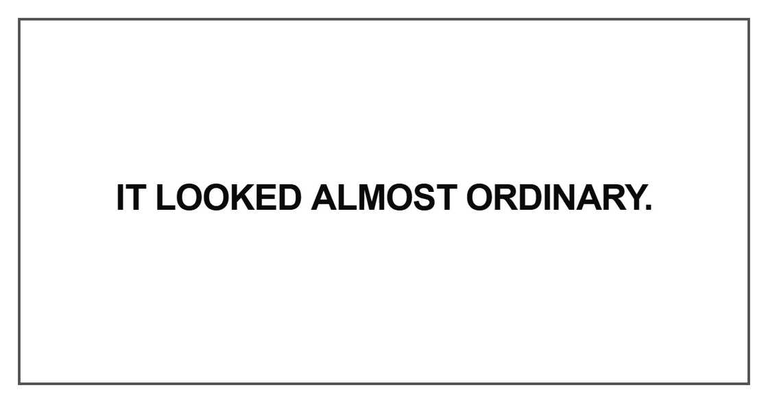It looked almost ordinary