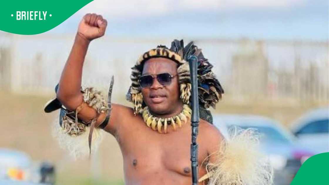 Video of Ngizwe Mchunu's response to March and March funding question sparks online debate