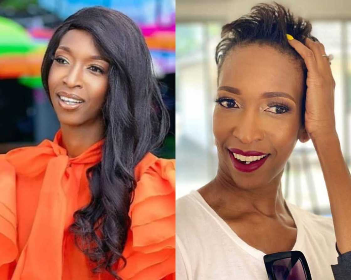 tinopona katsande's modelling career tinopona katsande's modelling career