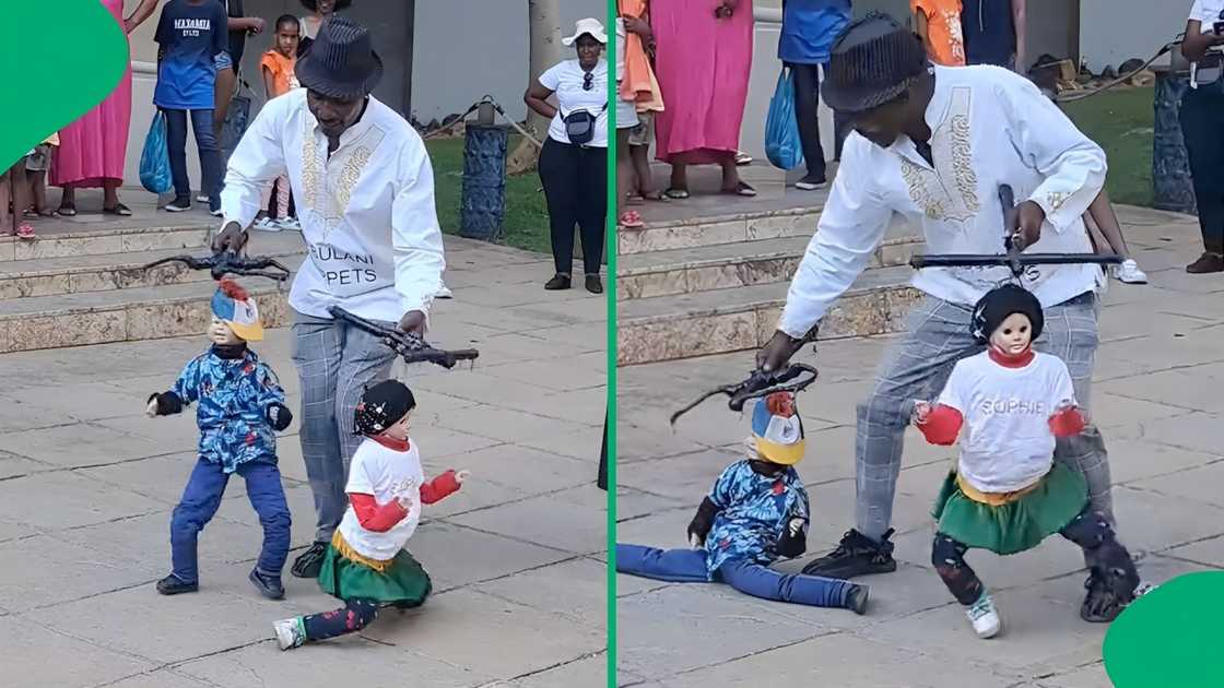 A video of puppets dancing went TikTok viral A video of puppets dancing went TikTok viral