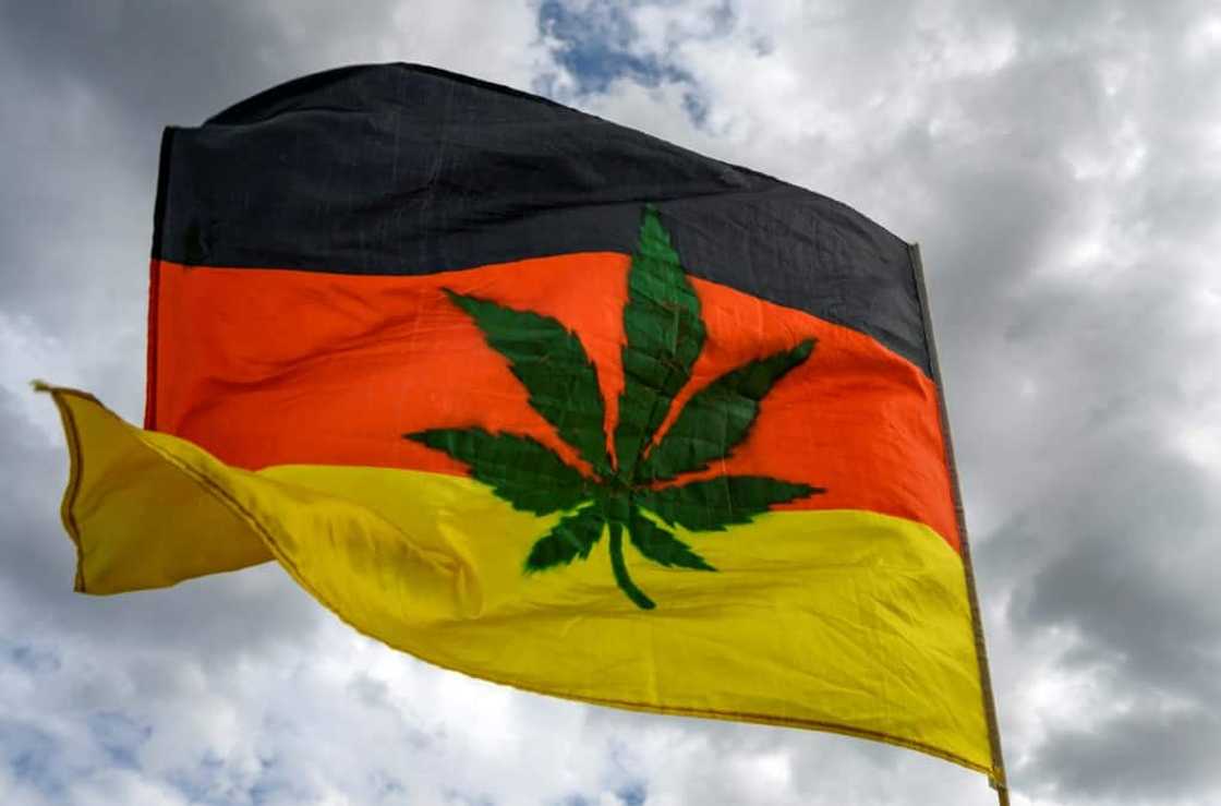 The supply and use of the drug would be 'permitted in a licensed and state-controlled framework' The supply and use of the drug would be 'permitted in a licensed and state-controlled framework'