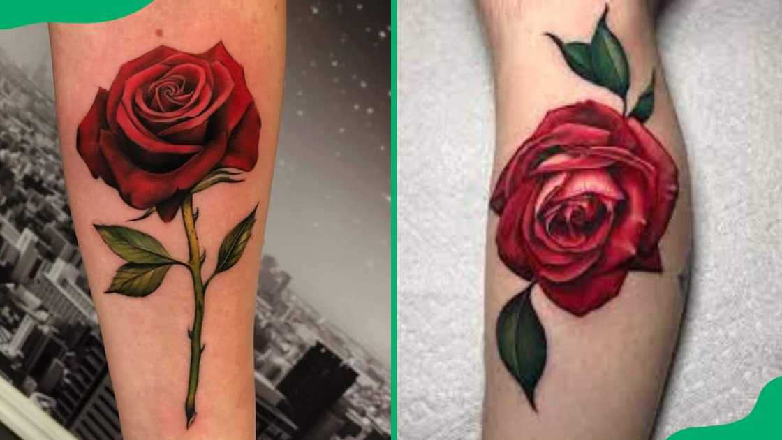 Red rose tattoos Red rose tattoos