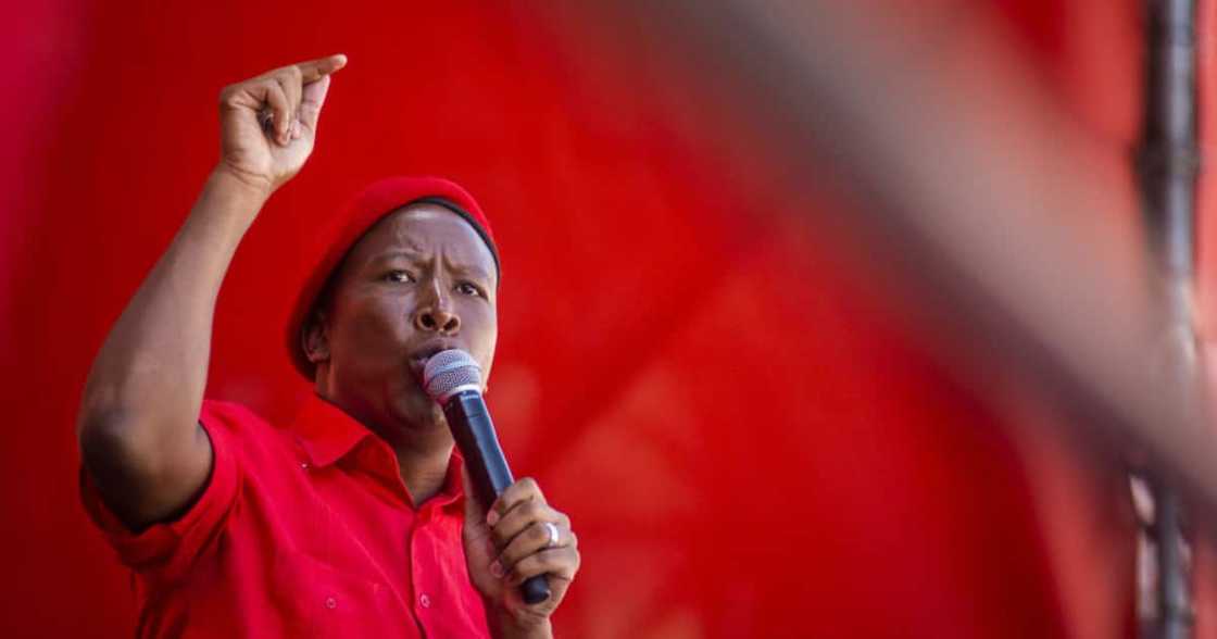 Knysna Municipal Council, Speaker, Council, Meeting, EFF, ANC, African National Congress, Economic Freedom Fighters, Julius Malema, Deadlocked, Abstain, Cease Knysna Municipal Council, Speaker, Council, Meeting, EFF, ANC, African National Congress, Economic Freedom Fighters, Julius Malema, Deadlocked, Abstain, Cease