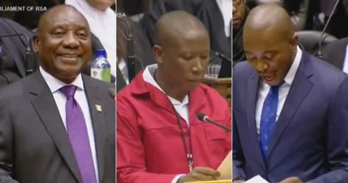 Cyril Ramaphosa, Julius Malema, Mmusi Maimane Cyril Ramaphosa, Julius Malema, Mmusi Maimane