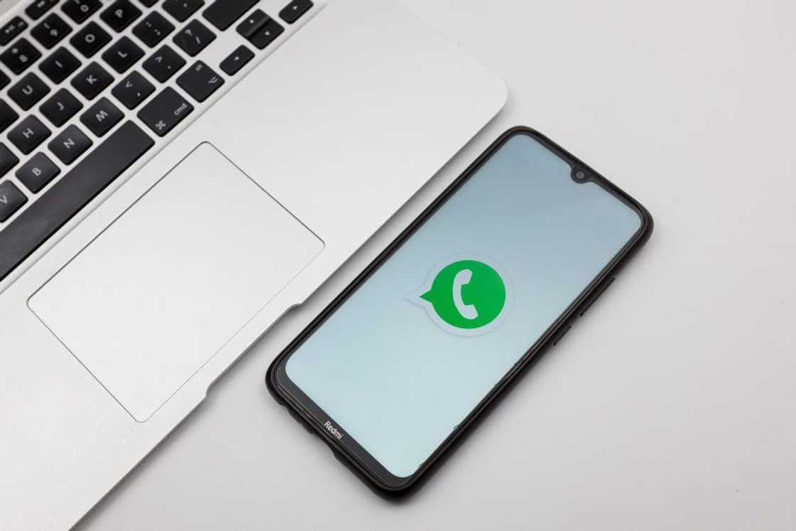 WhatsApp WhatsApp