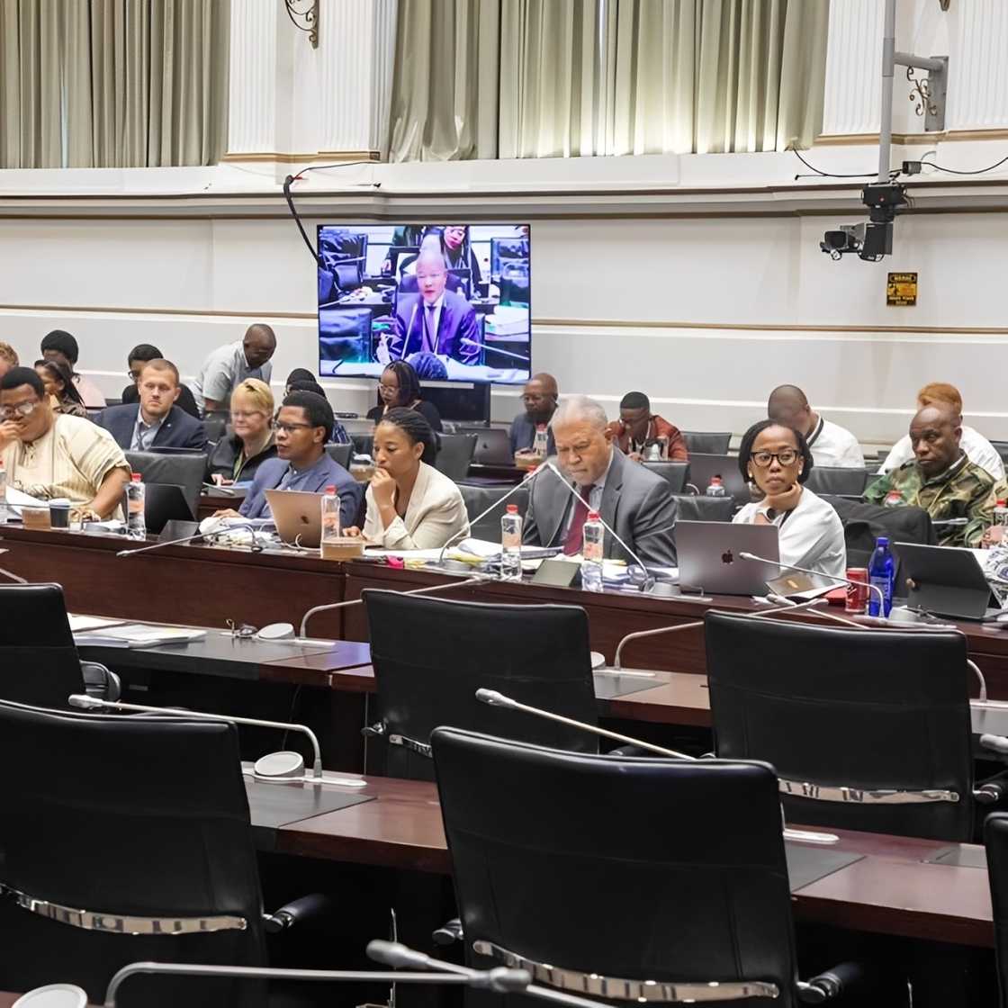 Cedrick Nkabinde appeared before the Ad Hoc Committee