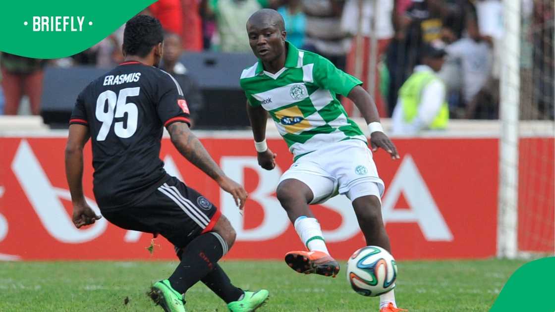 Rumours of a Celtic return have sparked hope across Bloemfontein.