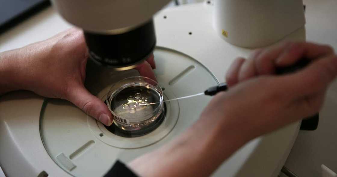 Same-sex couple want to stop sperm donor from seeing their 4-year-old Same-sex couple want to stop sperm donor from seeing their 4-year-old