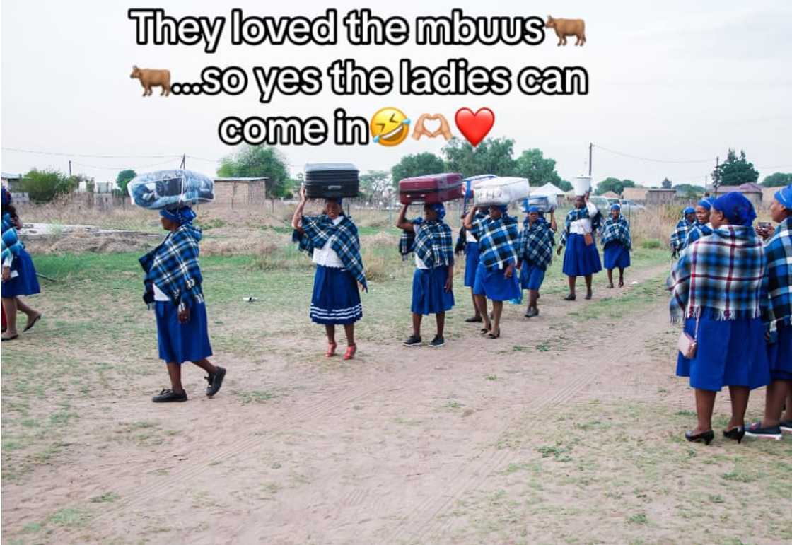 A TikTok user showed off Tswana lobola negotiations. A TikTok user showed off Tswana lobola negotiations.