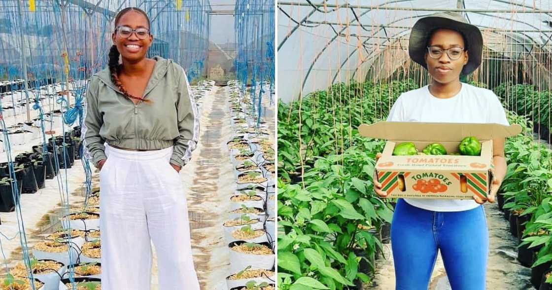 Successful vegetable farmer from KZN