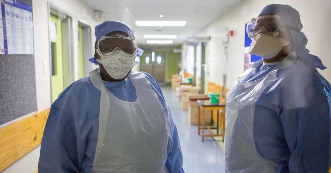 Eastern Cape Healthcare Officials, President Cyril Ramaphosa, Contracts ended, Covid19 Eastern Cape Healthcare Officials, President Cyril Ramaphosa, Contracts ended, Covid19