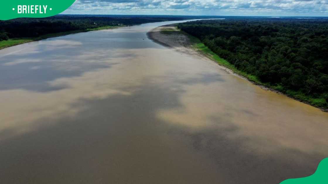 An aerial view of the Amazon River An aerial view of the Amazon River