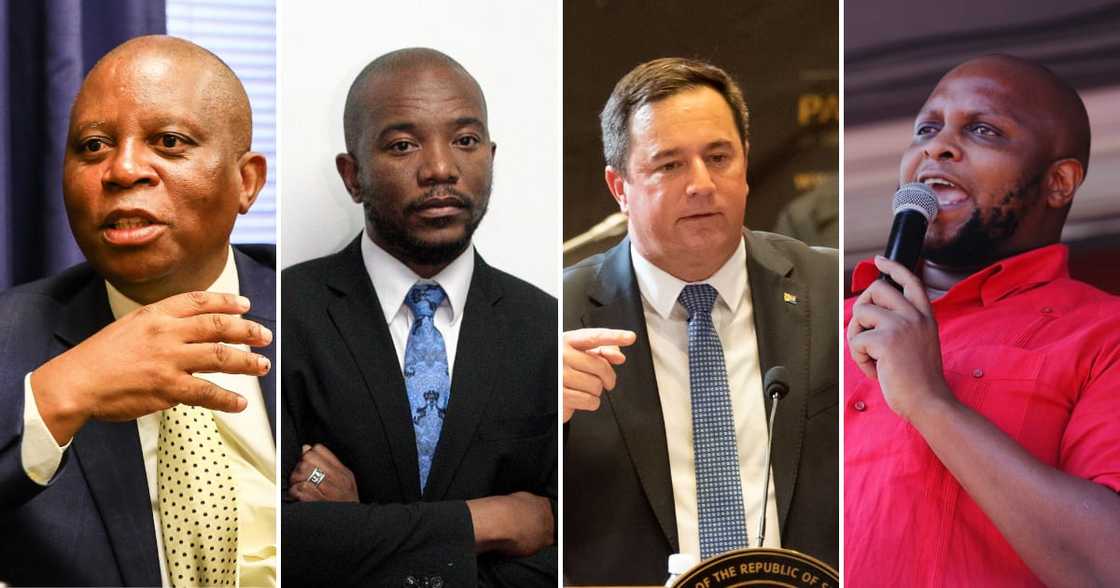 Mmusi Maimane, John Steenhuisen, Floyd Shivambu, Herman Mashaba, SARS, Reserve bank, Cyril Ramaphosa, Phala Phala, Limpopo, theft, robbert Mmusi Maimane, John Steenhuisen, Floyd Shivambu, Herman Mashaba, SARS, Reserve bank, Cyril Ramaphosa, Phala Phala, Limpopo, theft, robbert