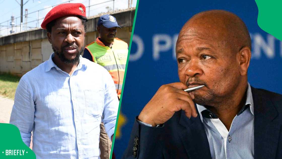 Mbuyiseni Ndlozi criticises Parliament's Ad Hoc Committee Mbuyiseni Ndlozi criticises Parliament's Ad Hoc Committee