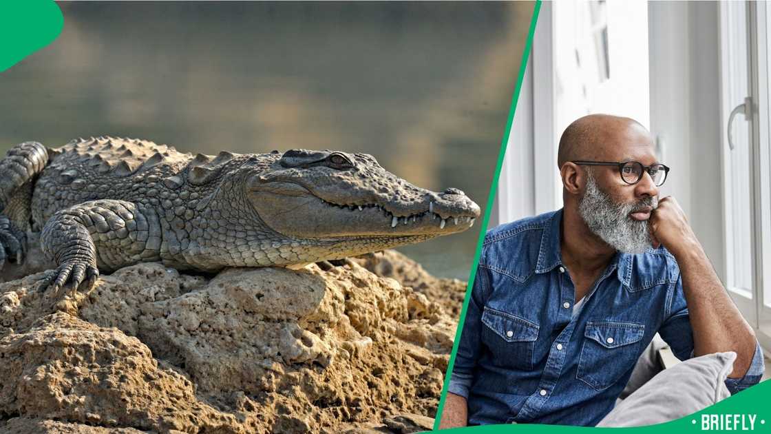 A little boy was bitten by a crocodile in the North West and lost his arm A little boy was bitten by a crocodile in the North West and lost his arm