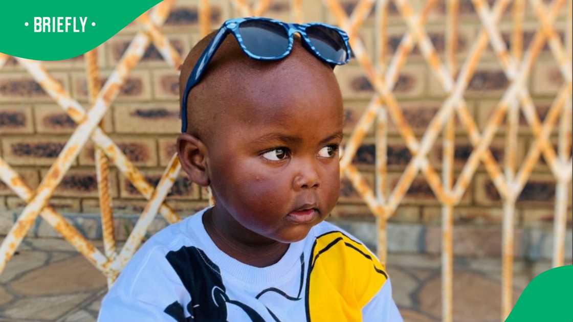 Zuluboy has gained popularity for his antics. Zuluboy has gained popularity for his antics.