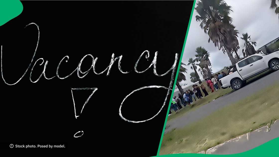 Job post attracted massive crowd in TikTok video Job post attracted massive crowd in TikTok video