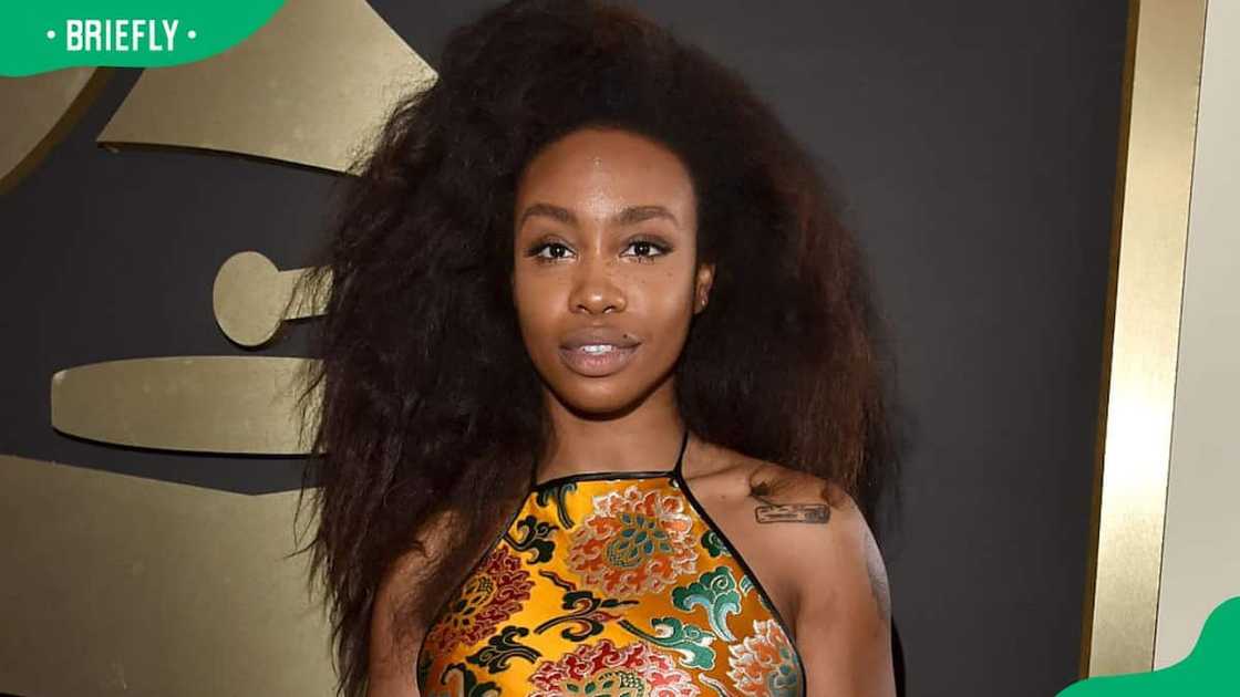 SZA attending the Grammy Awards SZA attending the Grammy Awards