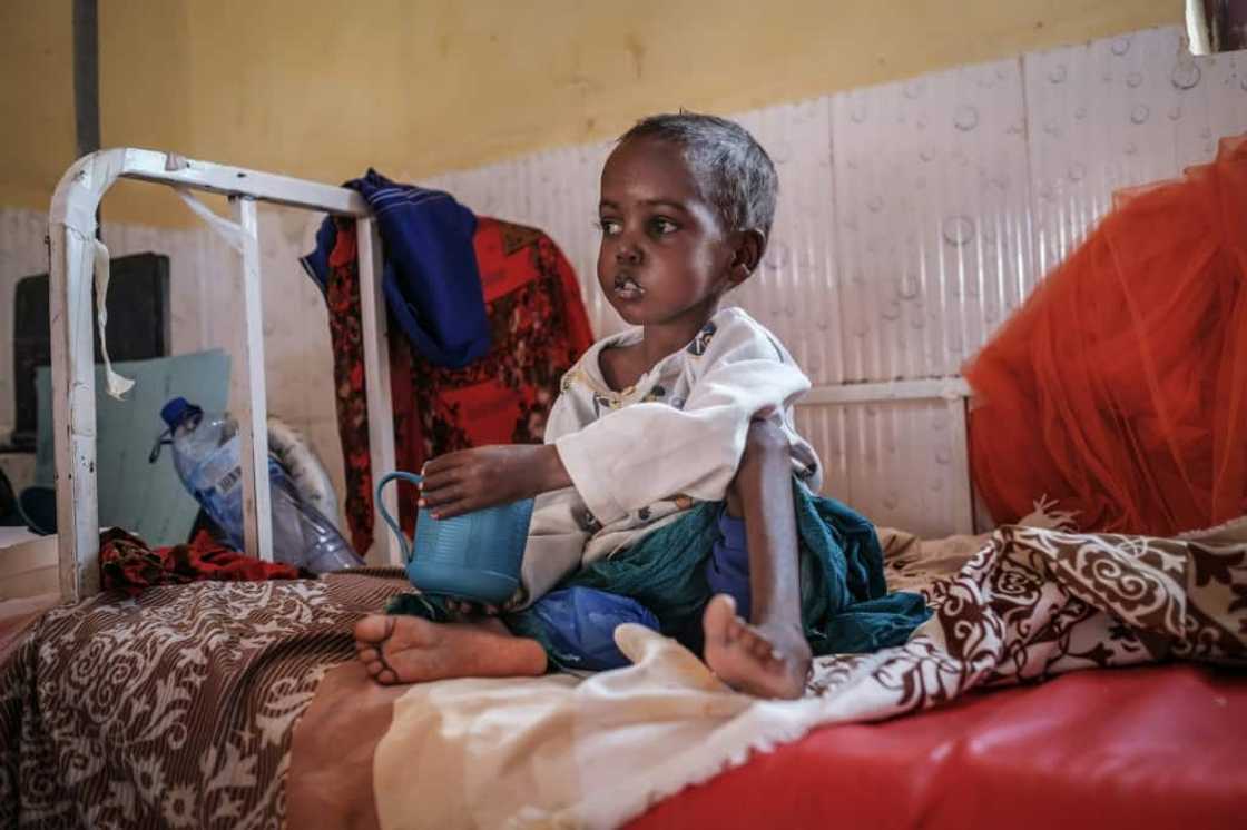 The proportion of people facing chronic hunger rose from 7.9 percent of the world population in 2019 -- before the pandemic -- to 9.2 percent in 2022 The proportion of people facing chronic hunger rose from 7.9 percent of the world population in 2019 -- before the pandemic -- to 9.2 percent in 2022