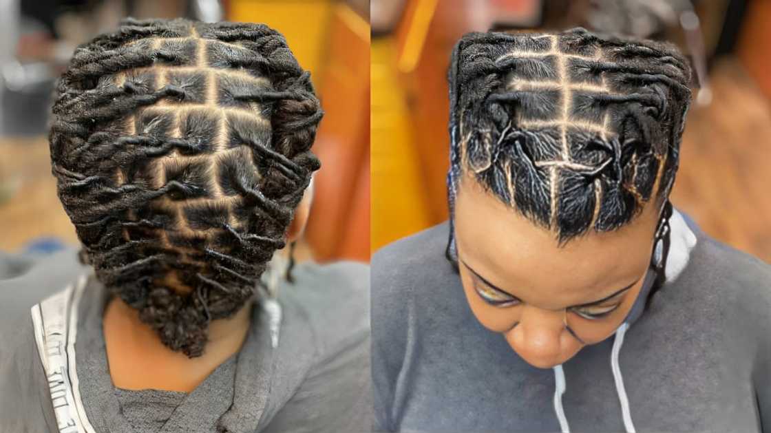 Cornrows-plaited dreadlocks Cornrows-plaited dreadlocks