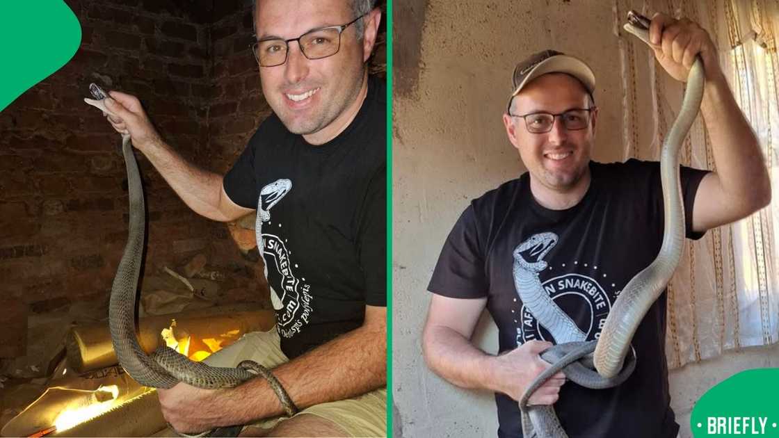 An unexpected find of a large Southern African python adjacent to the M19 highway in New Germany, KwaZulu-Natal, led to a viral rescue operation An unexpected find of a large Southern African python adjacent to the M19 highway in New Germany, KwaZulu-Natal, led to a viral rescue operation