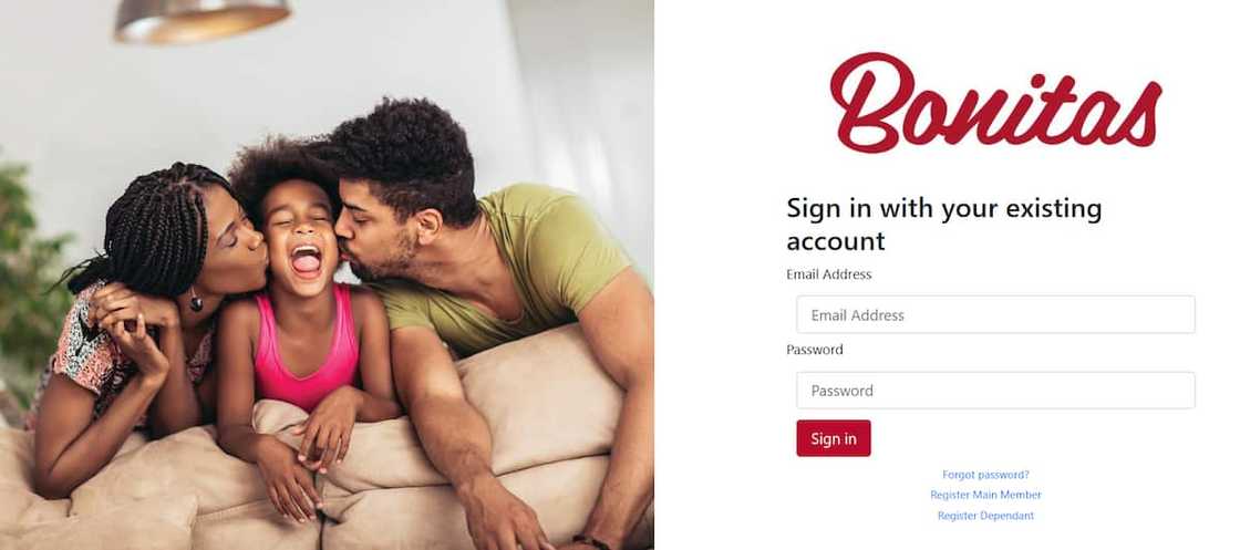 Bonitas log in portal Bonitas log in portal