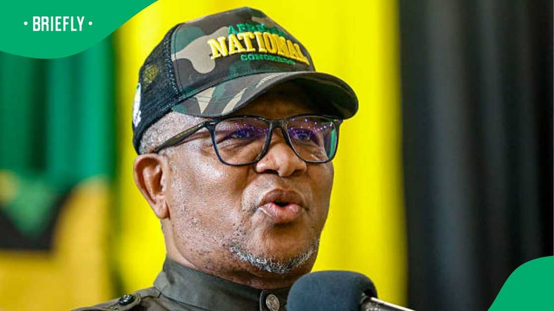 fikile mbalula fikile mbalula