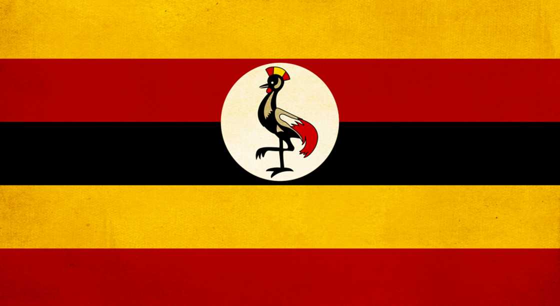 The flag of Uganda