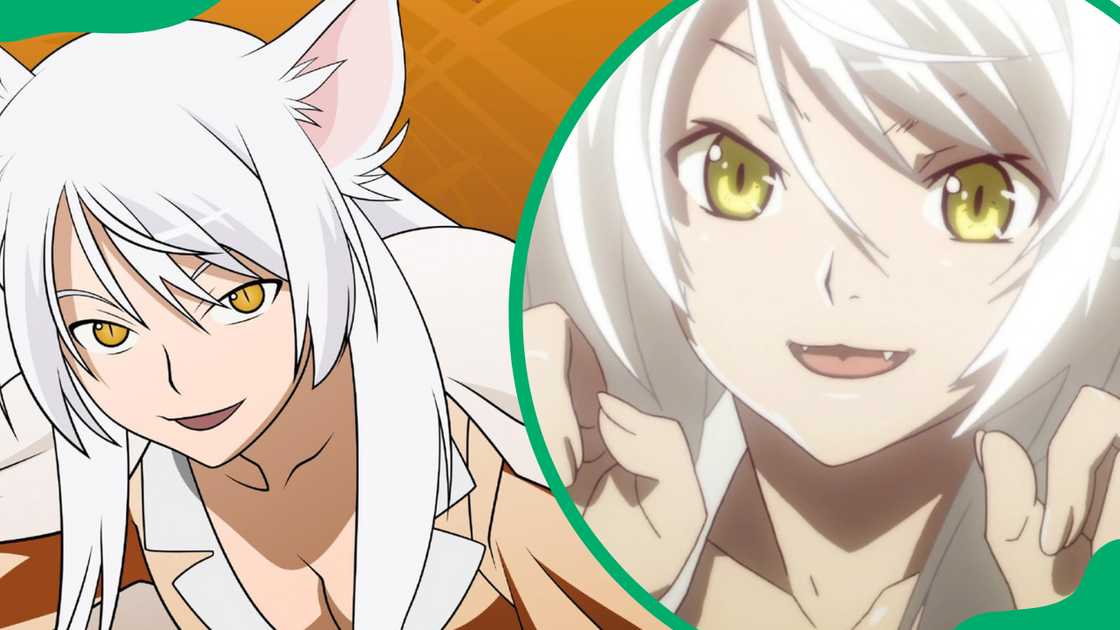 Black Hanekawa from Monogatari Black Hanekawa from Monogatari