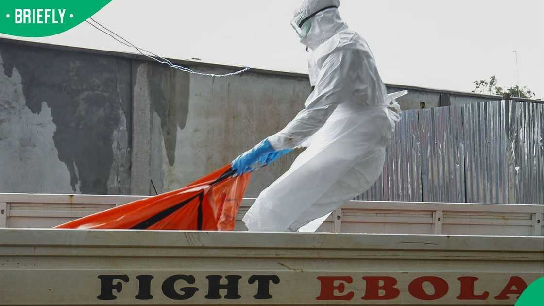 Ebola Ebola
