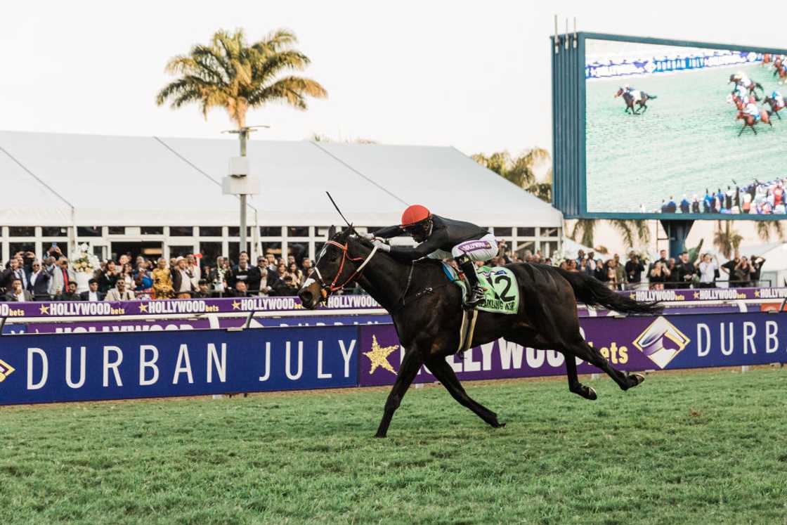 Celebrities dress their best for Durban July Celebrities dress their best for Durban July