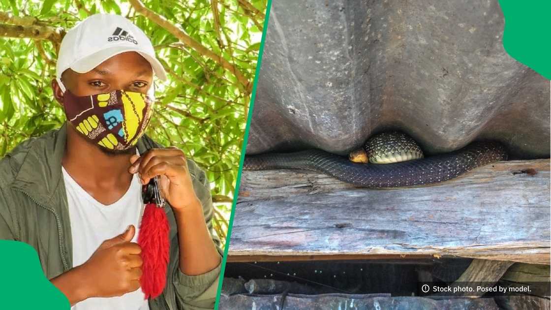 A man shared a video of the snake skin he found in his home. A man shared a video of the snake skin he found in his home.