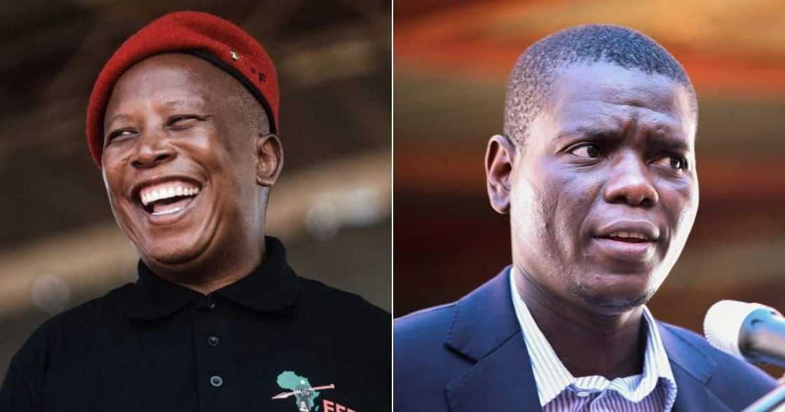 Julius Malema, Ronald Lamola, ANC, African National Congress, EFF, Economic Freedom Fighters, leadership, presidential elections Julius Malema, Ronald Lamola, ANC, African National Congress, EFF, Economic Freedom Fighters, leadership, presidential elections