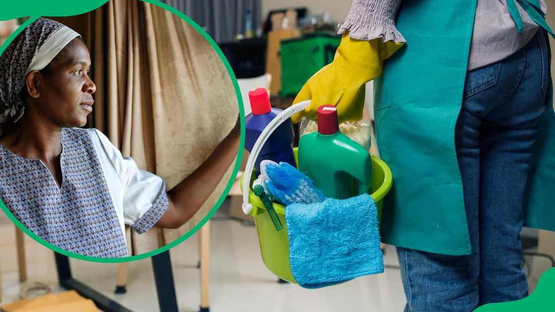 domestic worker wage 2024 domestic worker wage 2024