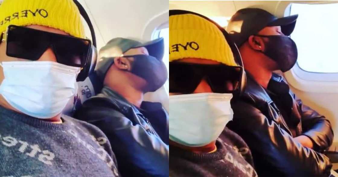 SomNova trends again: "You guys are a fruit & veg combo always together" SomNova trends again: "You guys are a fruit & veg combo always together"