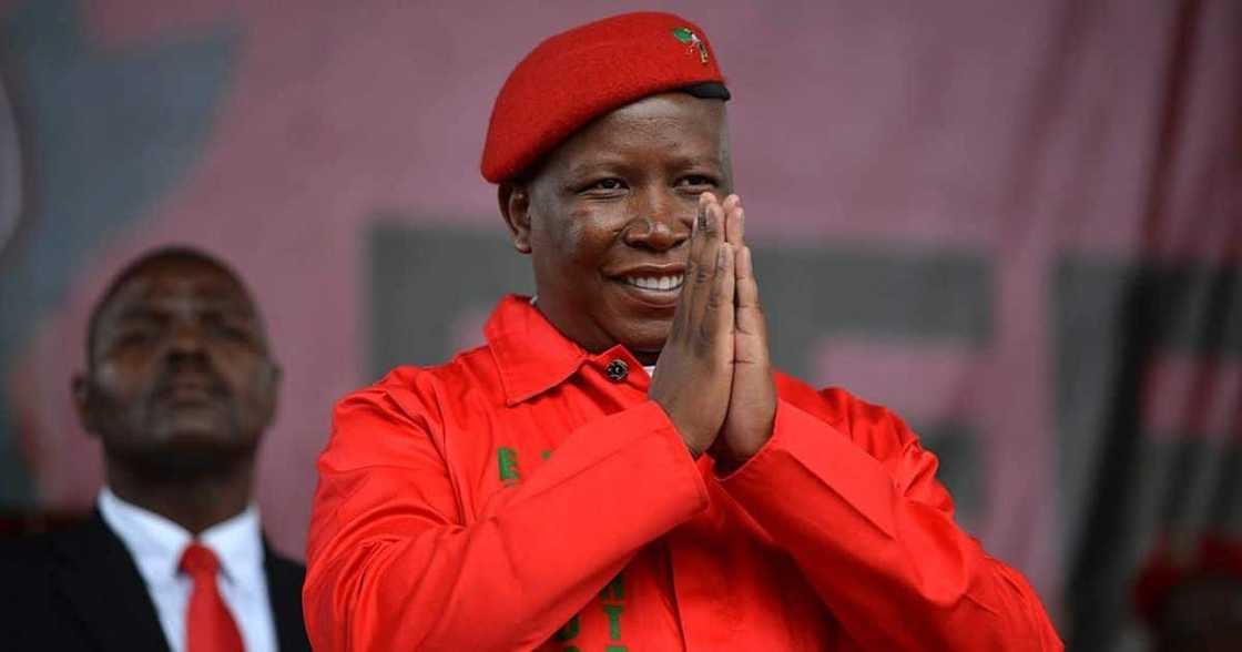 Mzansi, Julius Malema, eWallet, 41st Birthday, Twitter