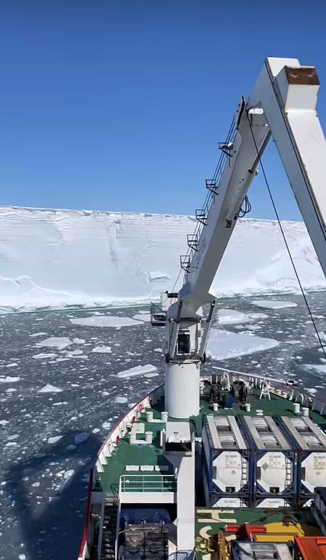 Antarctica Antarctica